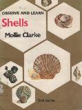 Shells - OBSERVE AND LEARN  2nd series