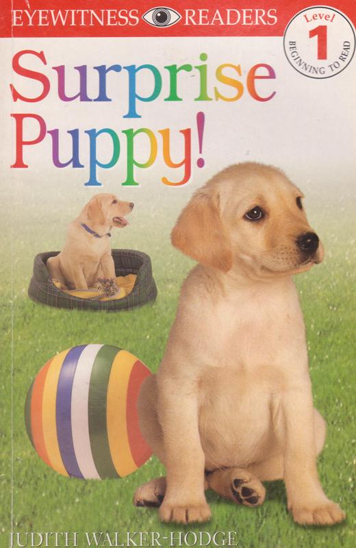 Click to see other cover