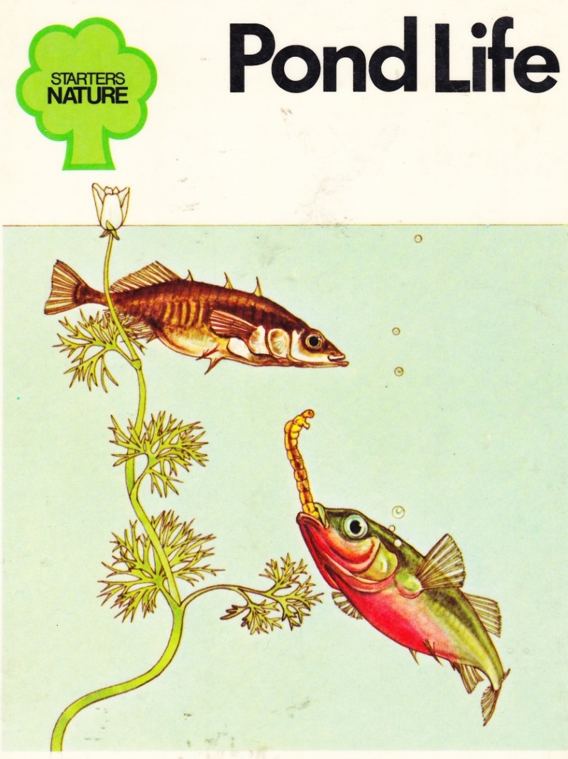 Click to toggle cover