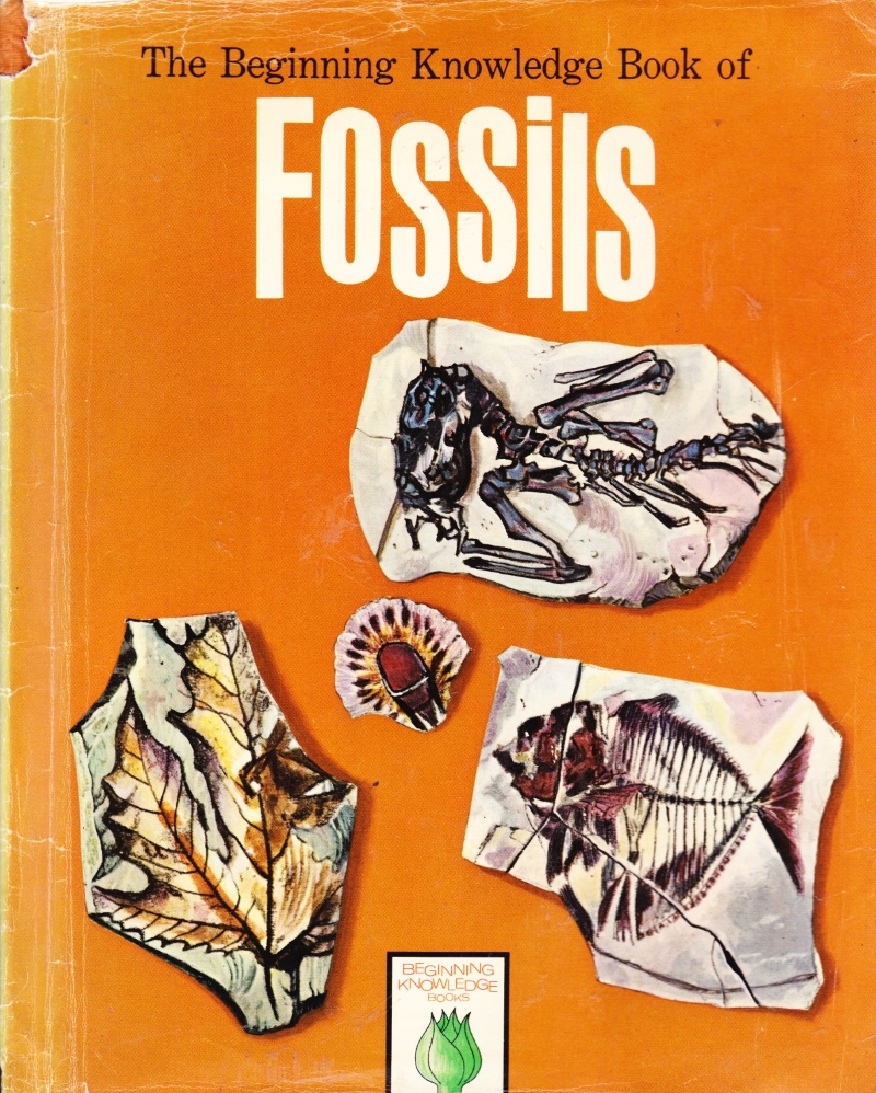 Click to see other cover