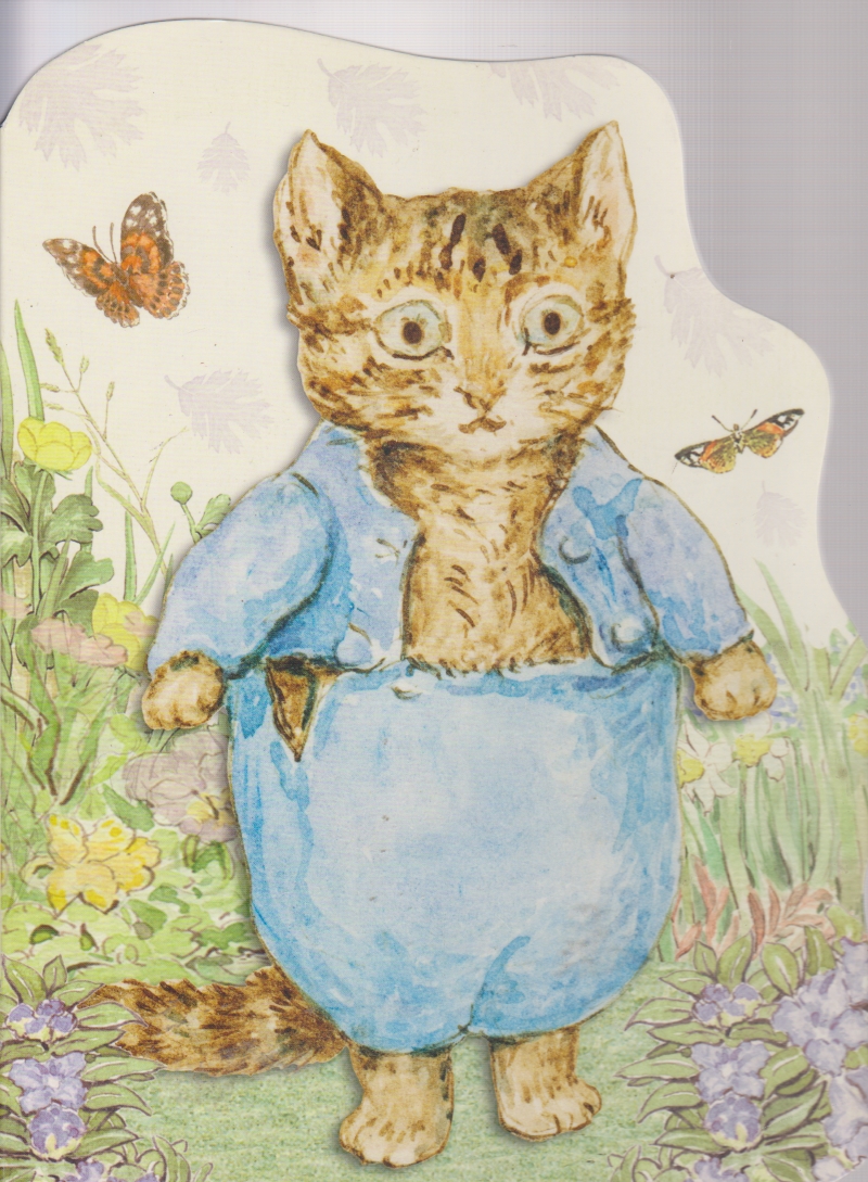 Click to see other cover