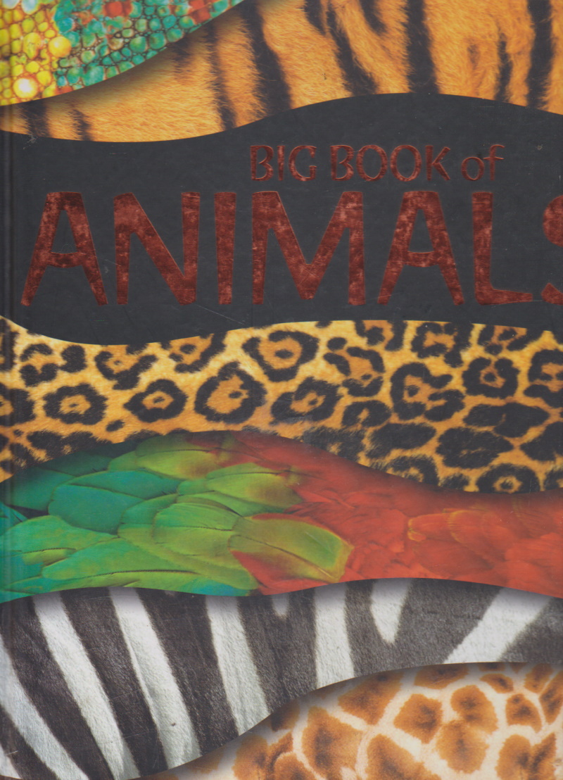 Click to see other cover