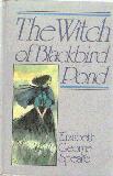 The Witch of Blackbird Pond (Large Print)