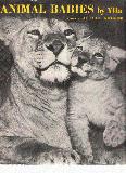 Animal Babies