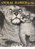 Animal Babies