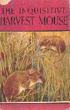 The Inquisitive Harvest Mouse