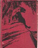 Animal Stories from Rudyard Kipling