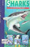Sharks ; with foldout Tiger Shark