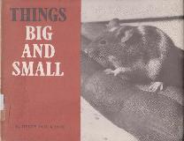THINGS BIG AND SMALL