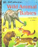 Wild Animal Babies FROM ALL OVER THE WORLD
