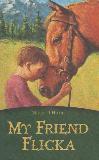 MY FRIEND FLICKA