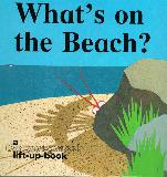 What's on the Beach? a Can-you guess? lift-up book