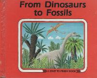 From Dinosaurs to Fossils A START TO FINISH BOOK