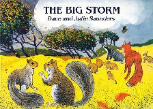 THE BIG STORM