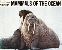 MAMMALS OF THE OCEAN (The Sea Library TO LOVE THE SEA)