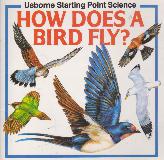 HOW DOES A BIRD FLY? (Usborne Starting Point Science)
