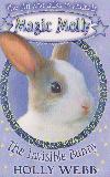 The Invisible Bunny (The girl who talks to animals, Magic Molly 3)