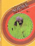 The Raintree Illustrated SCIENCE ENCYCLOPEDIA (volume 16)