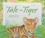 Tale of a Tiger