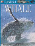 WHALE (DK Eyewitness)