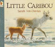 LITTLE CARIBOU