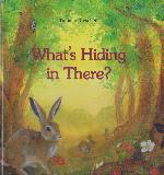 What\'s Hiding in There? (Explore the hidden world of the elves and fairies, and lift the flaps to discover even more of their secrets)
