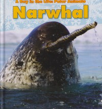A Day in the Life: Polar Animals Narwhal (Read and Learn)