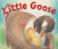 Little Goose