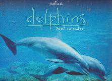 Hallmark dolphins 2007 calendar